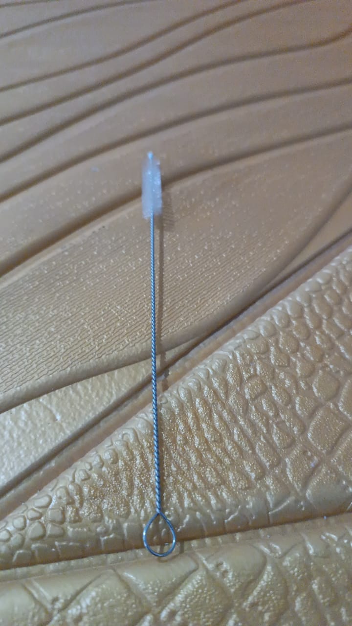 Stainless Steel Straw Cleaning Brush Drinking Pipe (20 Cm / 1 Pc) Stainless Steel Straw Cleaning Brush Drinking Pipe (20 Cm / 1 Pc)